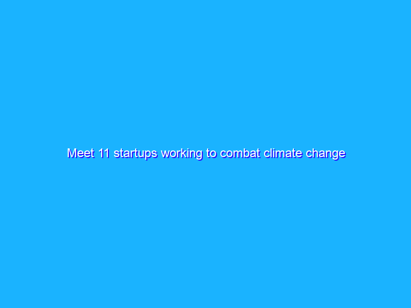 Meet 11 startups working to combat climate change