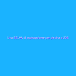 Una BELVA di aspirapolvere per piscina a 23€: OCCASIONE Una BELVA di aspirapolvere per piscina a 23€: OCCASIONE