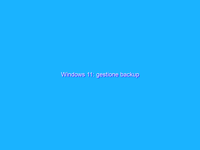 Windows 11: gestione backup