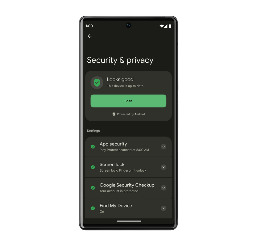 Within the Security & Privacy settings page, there is a color-coded safety status that indicates safety status. On the top of this user’s screen it reads “Looks good” with a green check mark beside it.