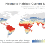 Mosquitos get the swat with new forecasting technology