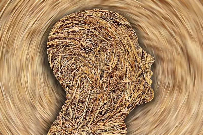head-6962811_1280-800x533-1