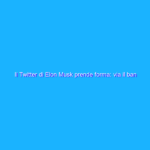 Il Twitter di Elon Musk prende forma: via il ban di Trump e rispetto regole UE