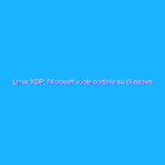 Linux XDP: Microsoft vuole portarlo su Windows