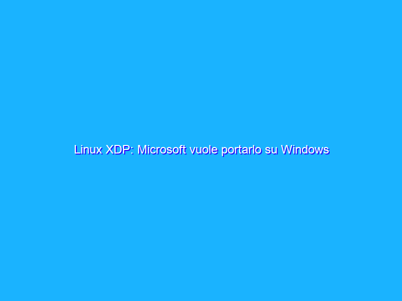 Linux XDP: Microsoft vuole portarlo su Windows