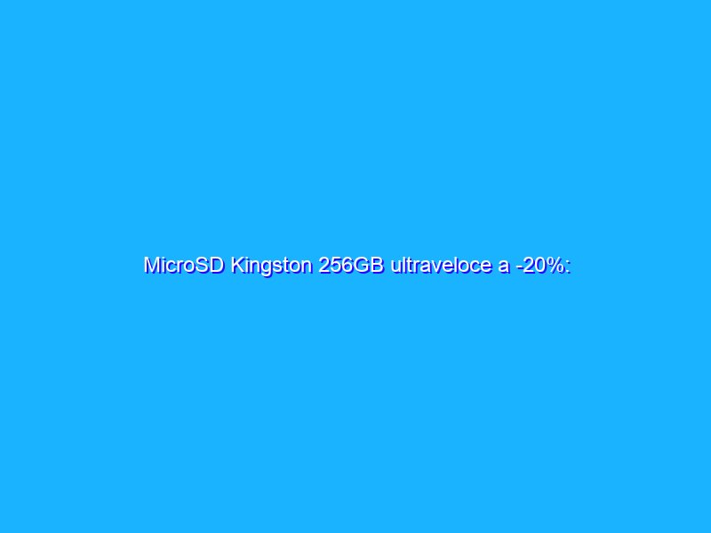 MicroSD Kingston 256GB ultraveloce a -20%: SCONTACCIO Amazon