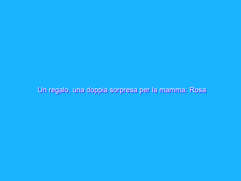 Un regalo, una doppia sorpresa per la mamma: Rosa Eterna+collana (13€)