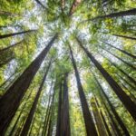 D-Link per il pianeta: nuovi codici green per gli switch al fine di ridurre l’impatto ambientale