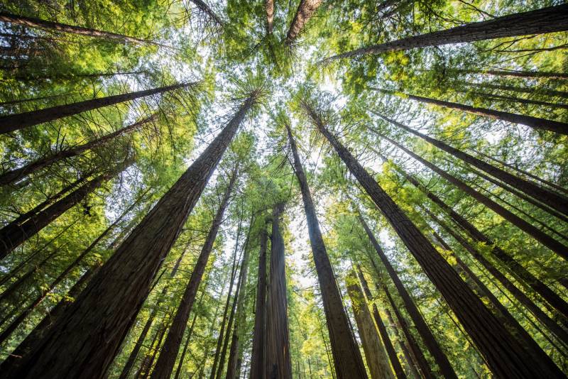 D-Link-per-il-pianeta-nuovi-codici-green-per-switch-al-fine-di-ridurre-impatto-ambientale-800x534-1