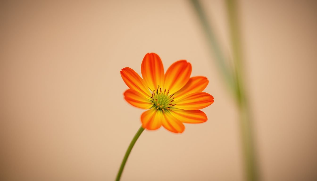 Ciro Solimeno spiega perché Martina De Ioannon dovrebbe sceglierlo a Uomini e Donne