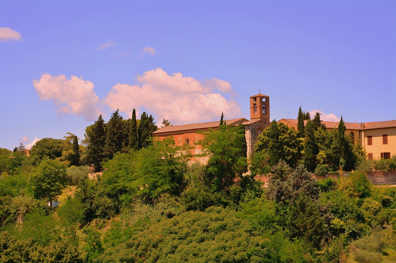 Nuova opzione di Google per risultati di ricerca non personalizzati e imparziali