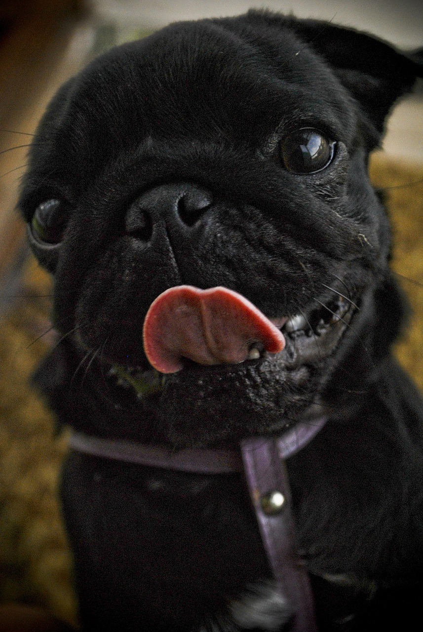 Samira Lui apprende sensualità da Cristiano Malgioglio: reazione e commento di Gerry Scotti su show