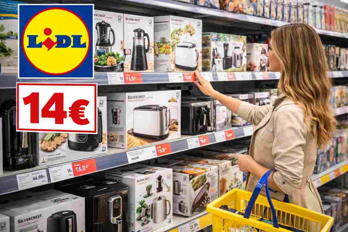 offerta lidl elettrodomestico a 14 euro