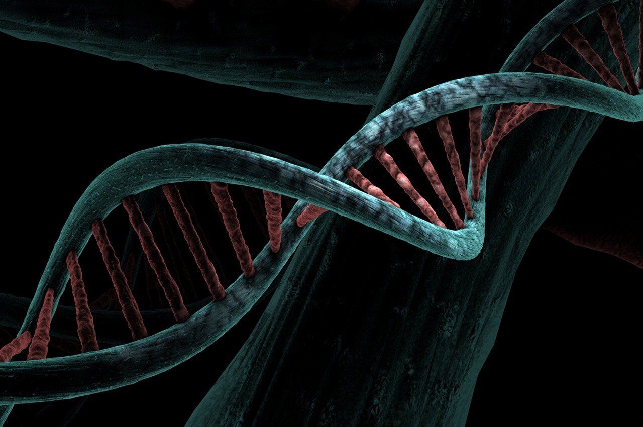 Marzio Capra contesta il genetista Linarello sul caso Garlasco e rilancia dubbi sulla perizia scientifica